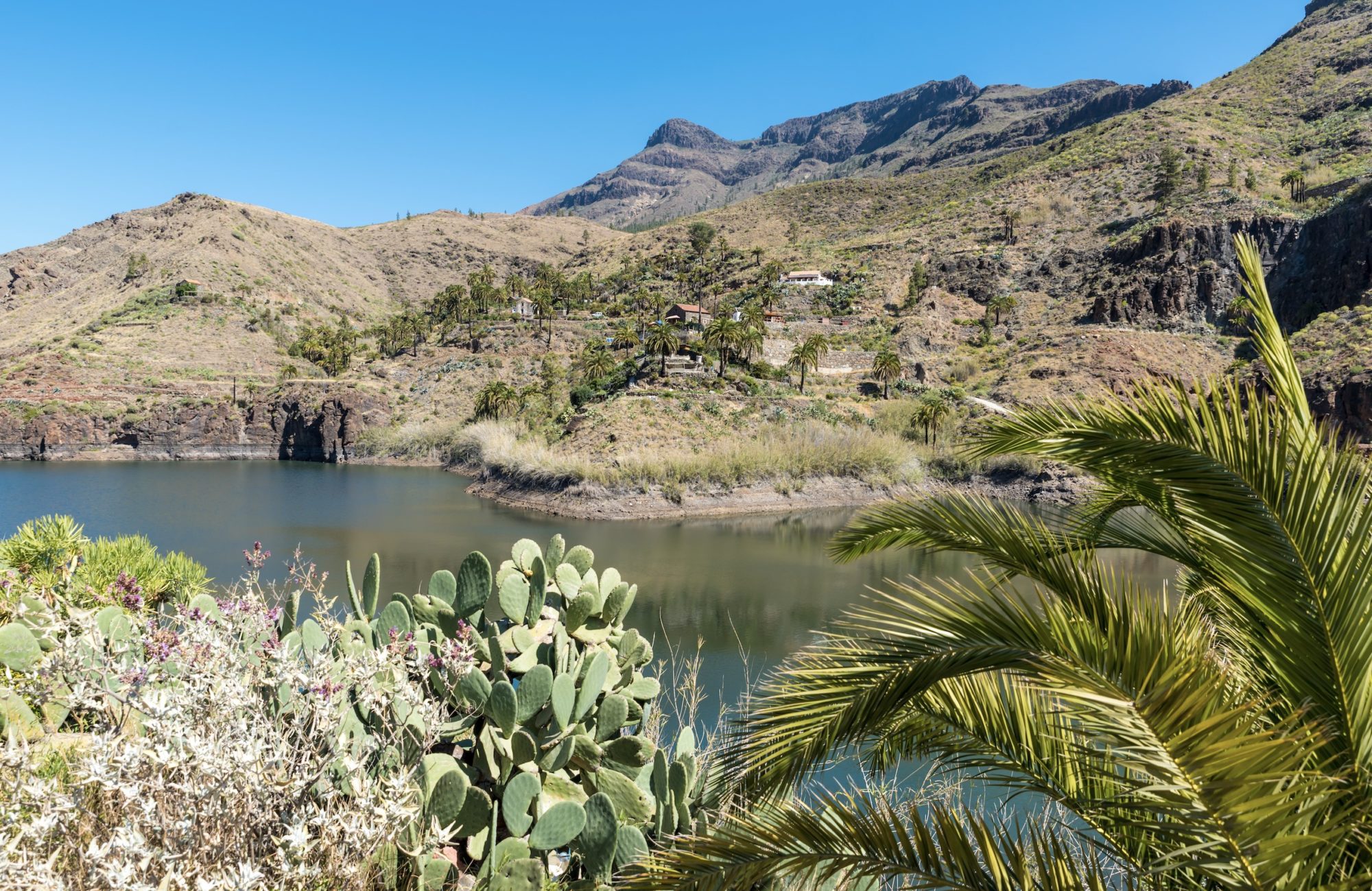 See GC Gran Canaria Lake