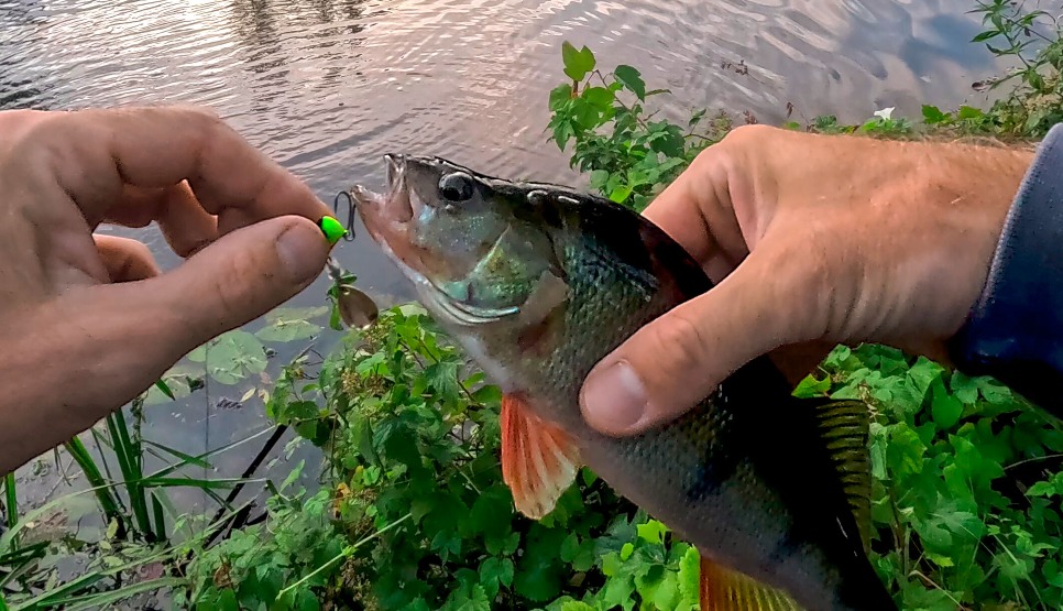 Jig-Spinner