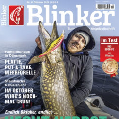 BLINKER