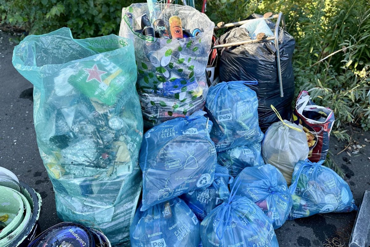 Catch & Clean Day 2026