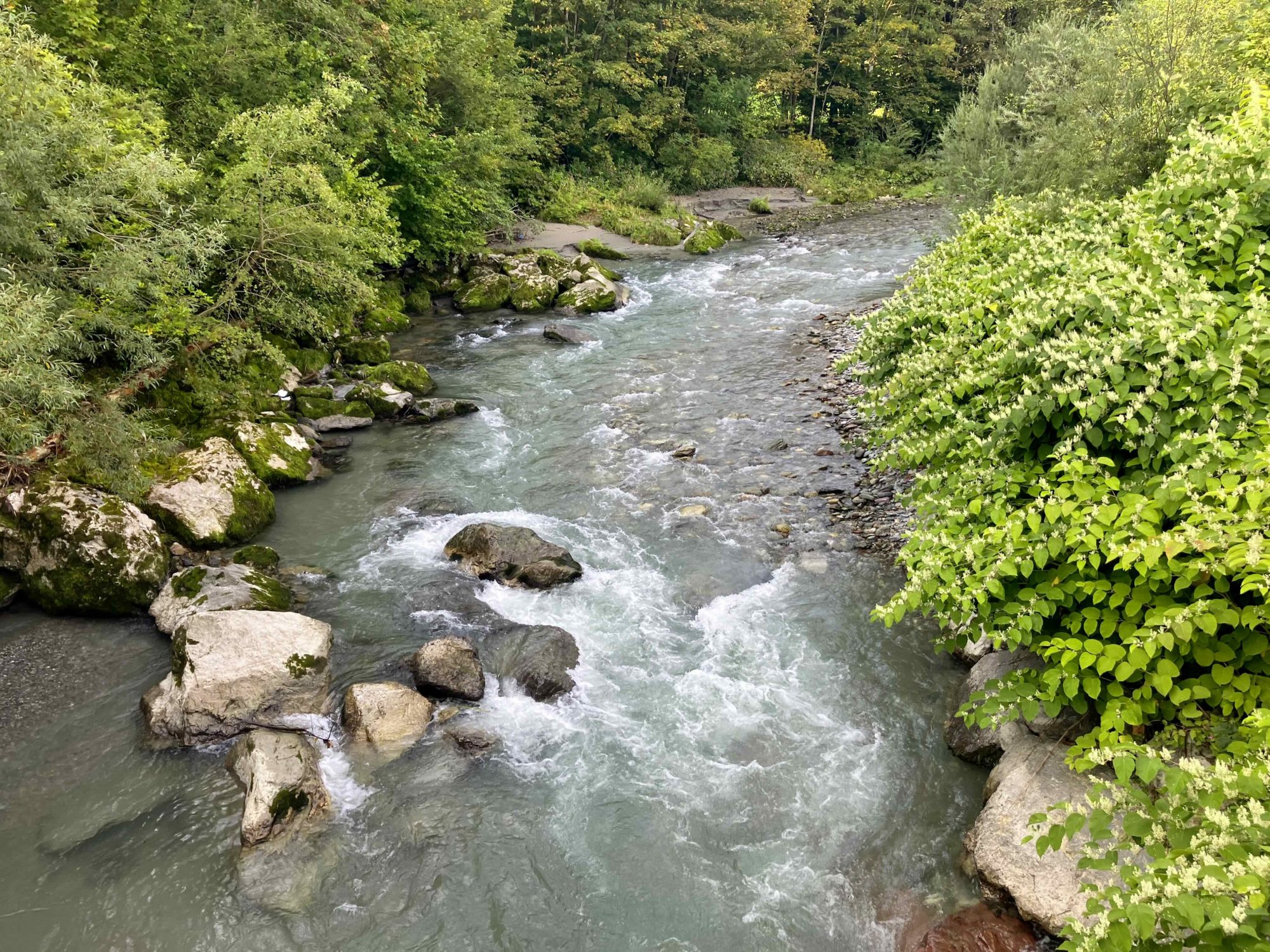 Fliegenfischen Gewässer Wilder Kaiser