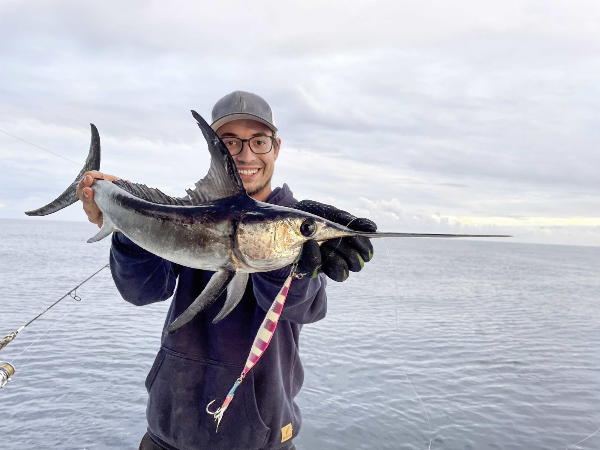 kleiner Schwertfisch lange Rückenflosse