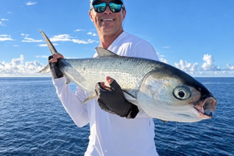 Saif Alzarouni mit dem 93 Zentimeter langen Milkfish von Providence. Die IGFA bestätigte den Fang als All-Tackle Length Fly World Record.