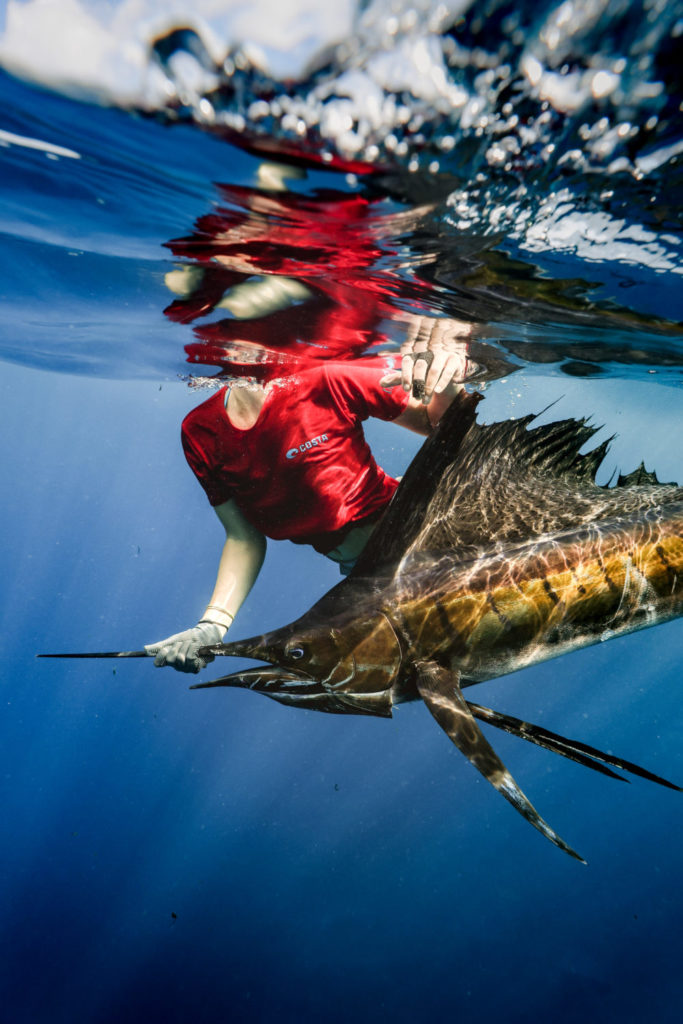 Für Marina Gibson wurde auf den Seychellen ein lange gehegter Wunsch wahr: Ihr erster Sailfish nahm die Fliege und lieferte einen spektakulären Drill mit schnellen Fluchten und Sprüngen an der Oberfläche.