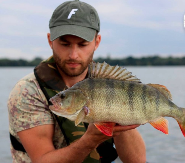 Barsch mit Angler