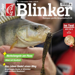 BLINKER