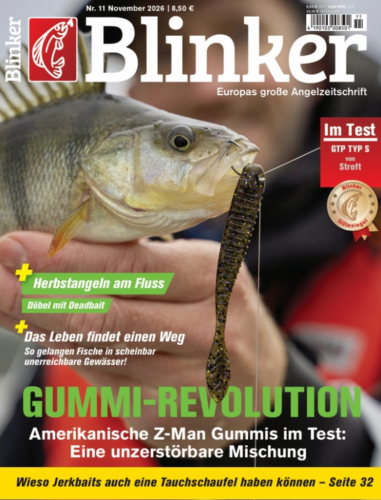 Blinker 11/2026: Gummi-Revolution