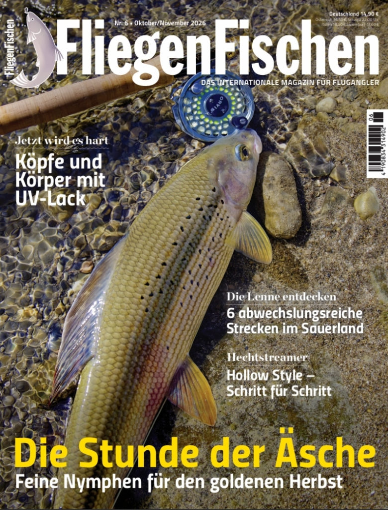 Heft-Cover der FliegenFischen 6/2026: Die Stunde der Äsche
