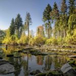 Fliegenfischen Herbst