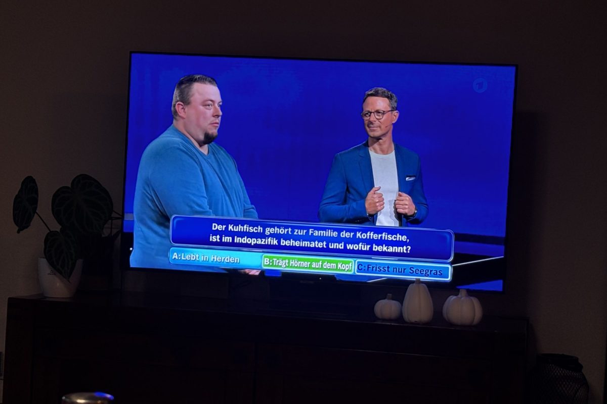 Gefragt gejagt Quiz