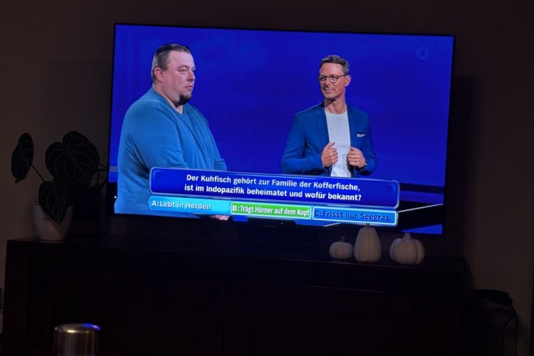 Gefragt gejagt Quiz