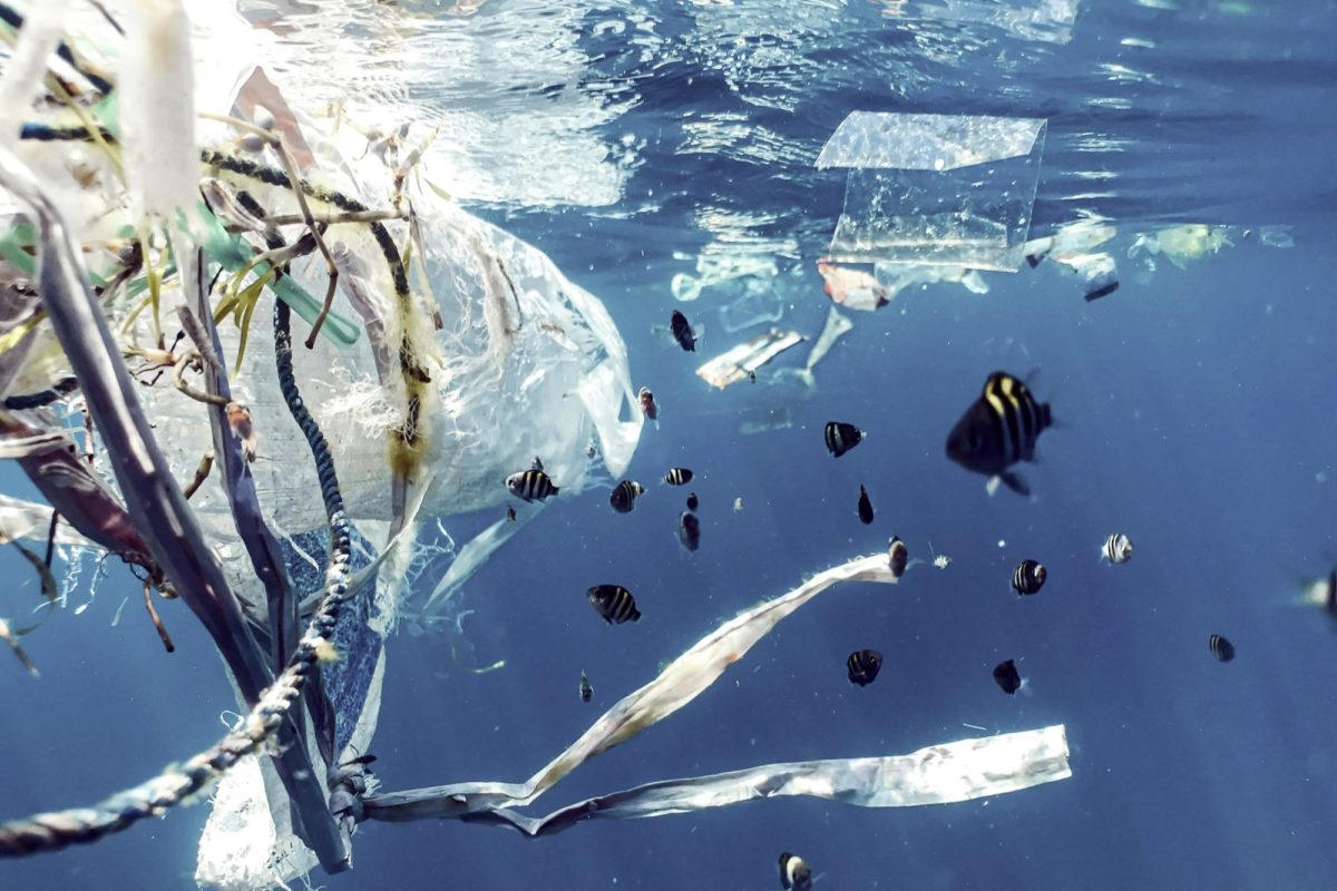 Mikroplastik vermeiden