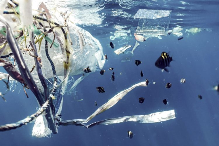 Mikroplastik vermeiden