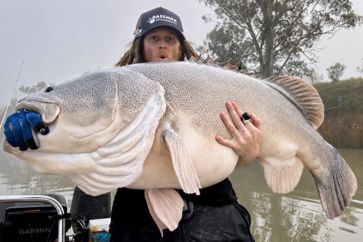 Murray Cod Kasey Parkinson