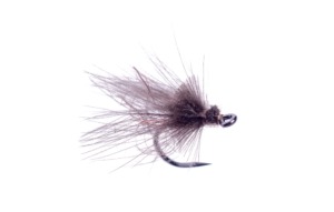 Needle Fly Herbst