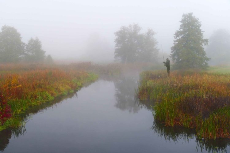 Nebel, Angler im Nebel
