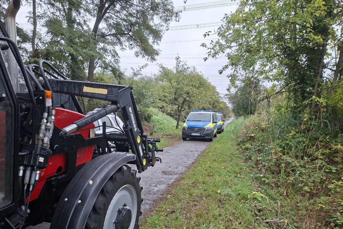 Handgranate im See entdeckt: Polizeieinsatz bei Gewässerpflege des AV Daxlanden