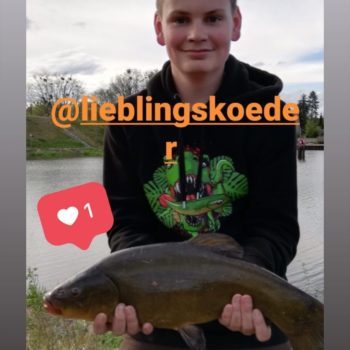 Profilbild
