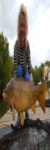 Profilbild von Seestern