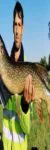 Profilbild von fishermanben13