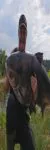 Profilbild von Grempe58