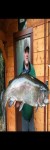 Profilbild von Timo Drumm