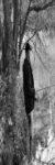 Profilbild von angelnmv