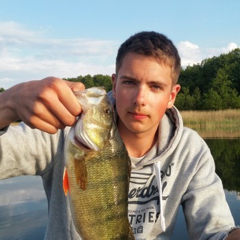 Profilbild