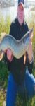 Profilbild von Hechtschneider