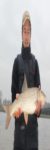 Profilbild von teamnofishmember