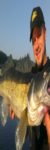 Profilbild von Antonio Casselly