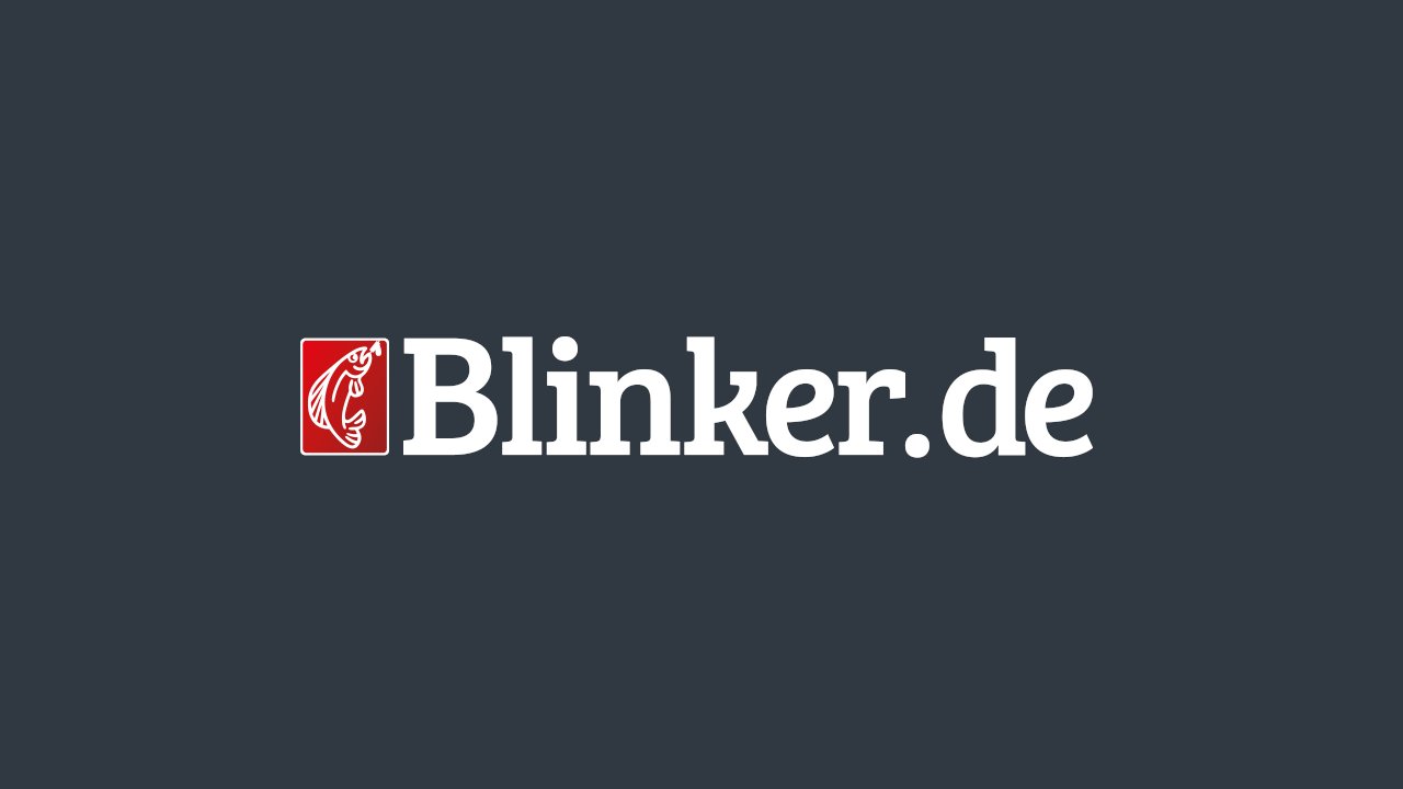 www.blinker.de