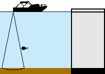 Fischerkennung auf Echoloten ist reine Übungssache. Hier zu sehen: Ein Boot mit Echolot, dass über einen Fisch hinweg fährt. Rechts daneben ist die Darstellung auf einem Echolot zu sehen.