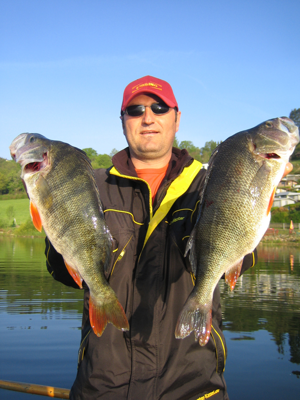 Angeln Am Edersee Angelkarten Ab 1300  Hejfish Com