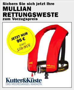 KK_16_06_Aboanzeige_blinker.de_Weste_318x386_preview_1