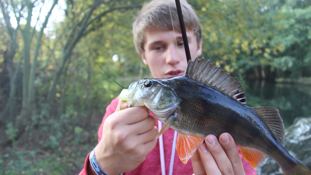 Robin ist ein echter Allround-Angler der neben seinen Zielfischen den Salmoniden auch gerne mal im Süßwasser auf Barsch & Co. angelt.