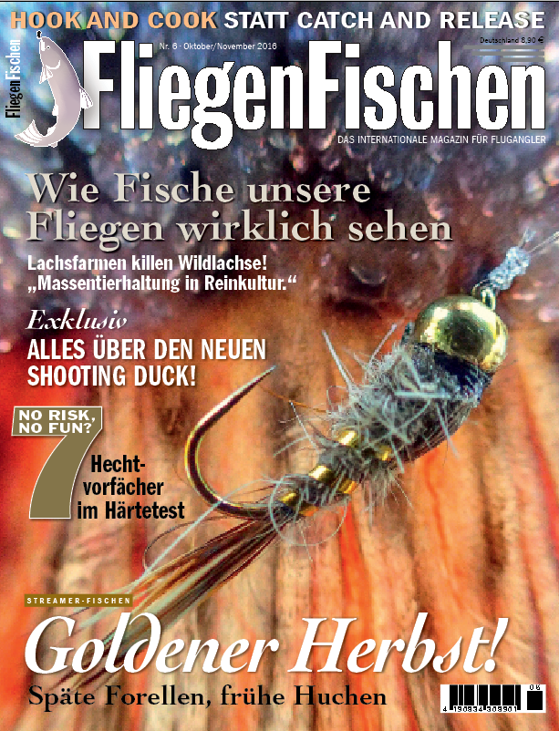 Titel FliFi 06 2016