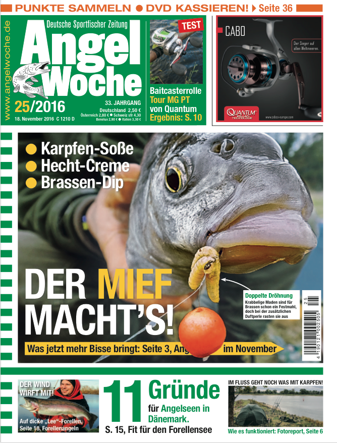 Angelwoche 26 2016