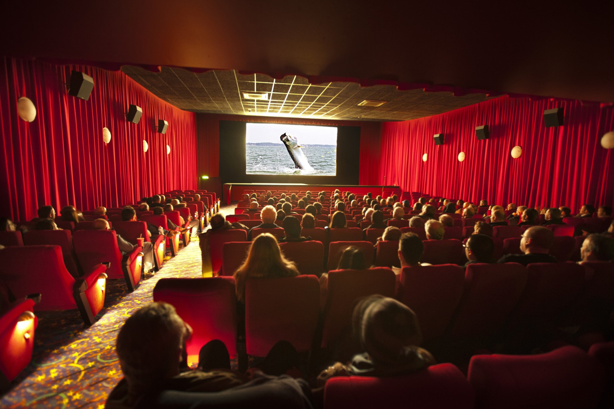 Großes Kino! Auch 2017 werden bei RISE traumhaft schöne, spannende und unterhaltsame Filme für Fliegenfischer zu sehen sein.