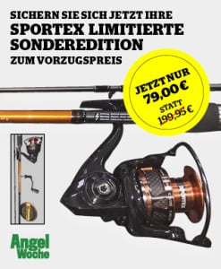AWO_17_02_Aboanzeige_blinker.de_318x386px