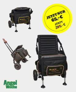 AWO_17_02_Aboanzeige_blinker.de_Browning Trolley