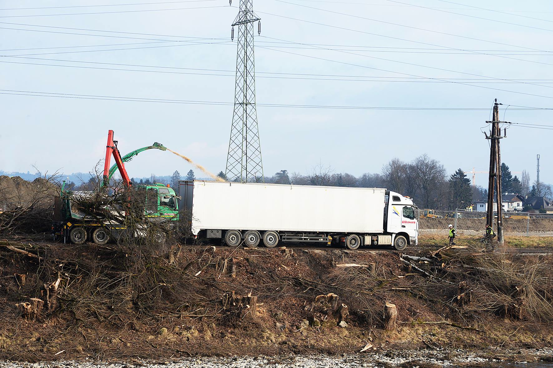 Petition gegen Wasserkraftwerk: Baum Rodung Petition gegen Wasserkraft Mur Graz