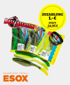 ES_17_02_aboanzeige_blinker.de_SeaShad