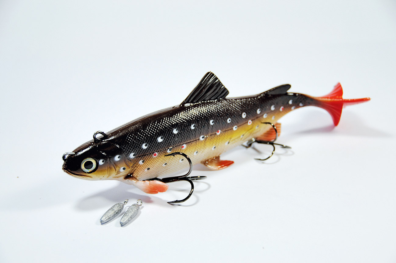 Rencontres de lures 2017