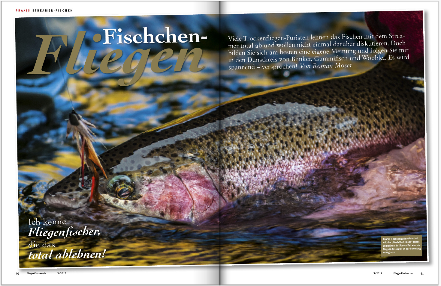 In FliegenFischen 3-2017, Ihrer Ausgabe für April und Mai, zeigt Ihnen Roman Moser, wie, wo und wann man mit dem Streamer fischt.