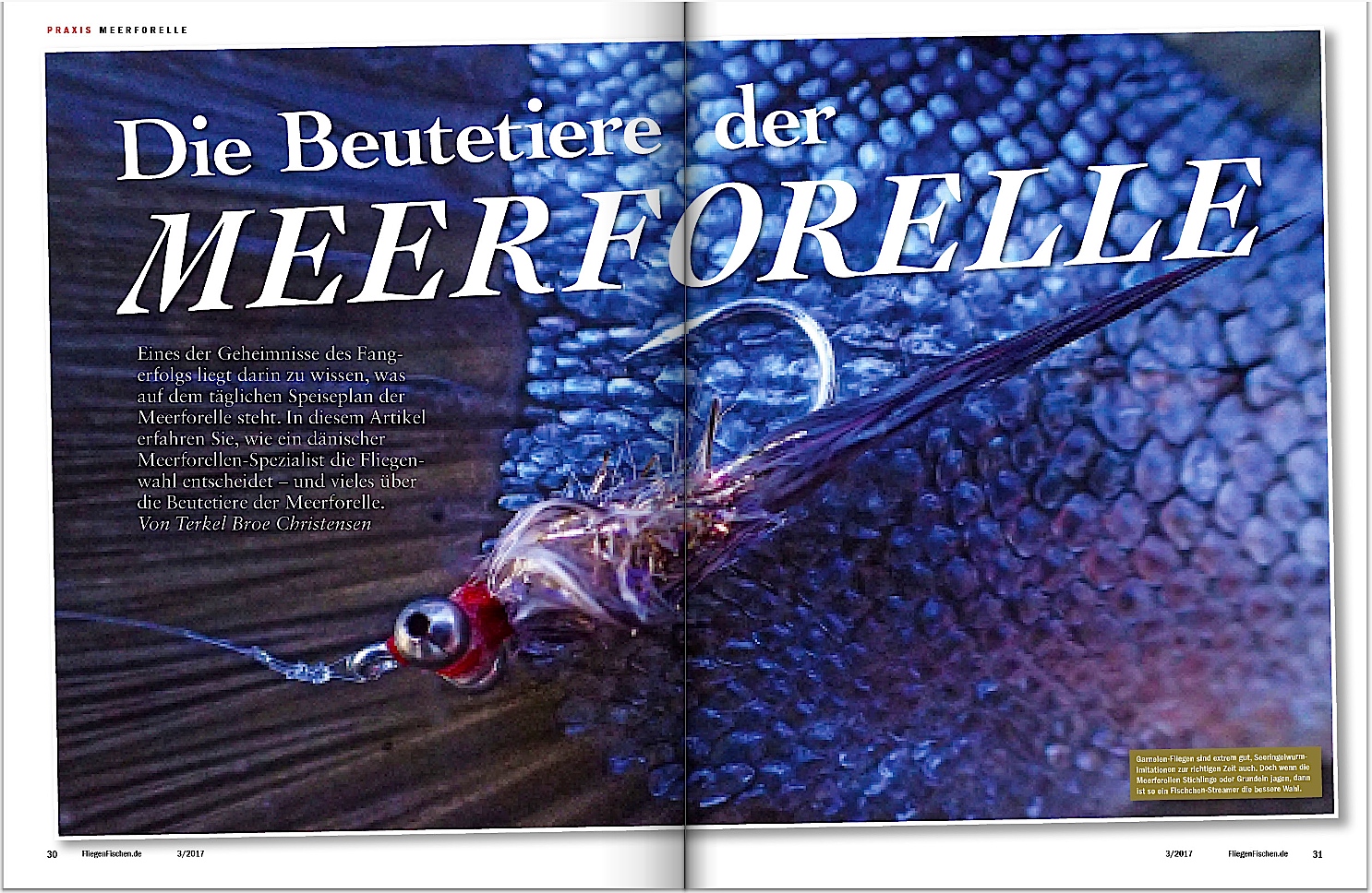 In Fliegenfischen 3-2017 erklärt Ihnen ein Däne,was Meerforellen fressen und wie Sie diese Beutetiere beim Fliegenfischen imitieren.