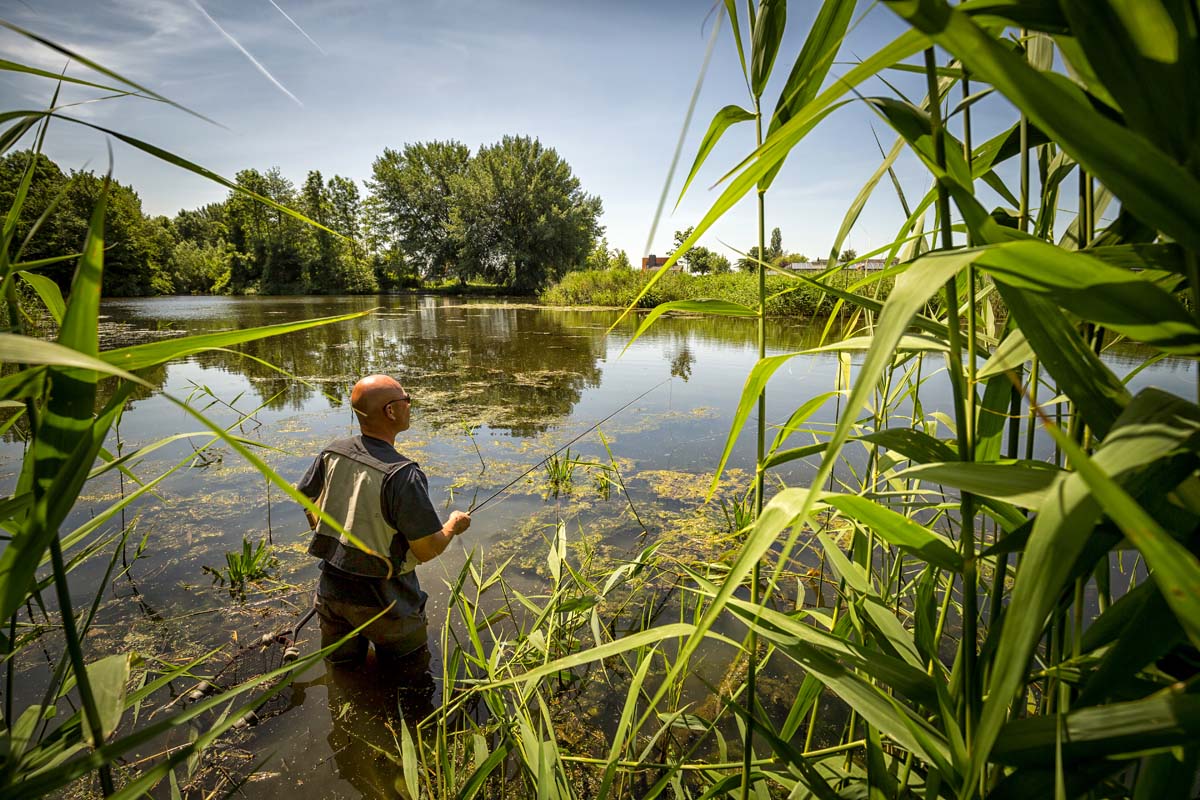 Hat man einmal die Rotfedern entdeckt, muss die Fliege exakt in den Sichtbereich platziert werden. Foto: SANDER BOER