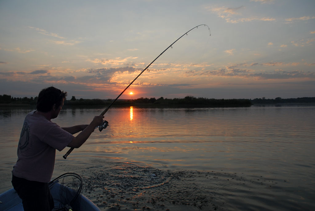 Morgendliche Idylle und spannende Drills: Das ist Angeln in Schweden. Foto: BLINKER/ S. Rose