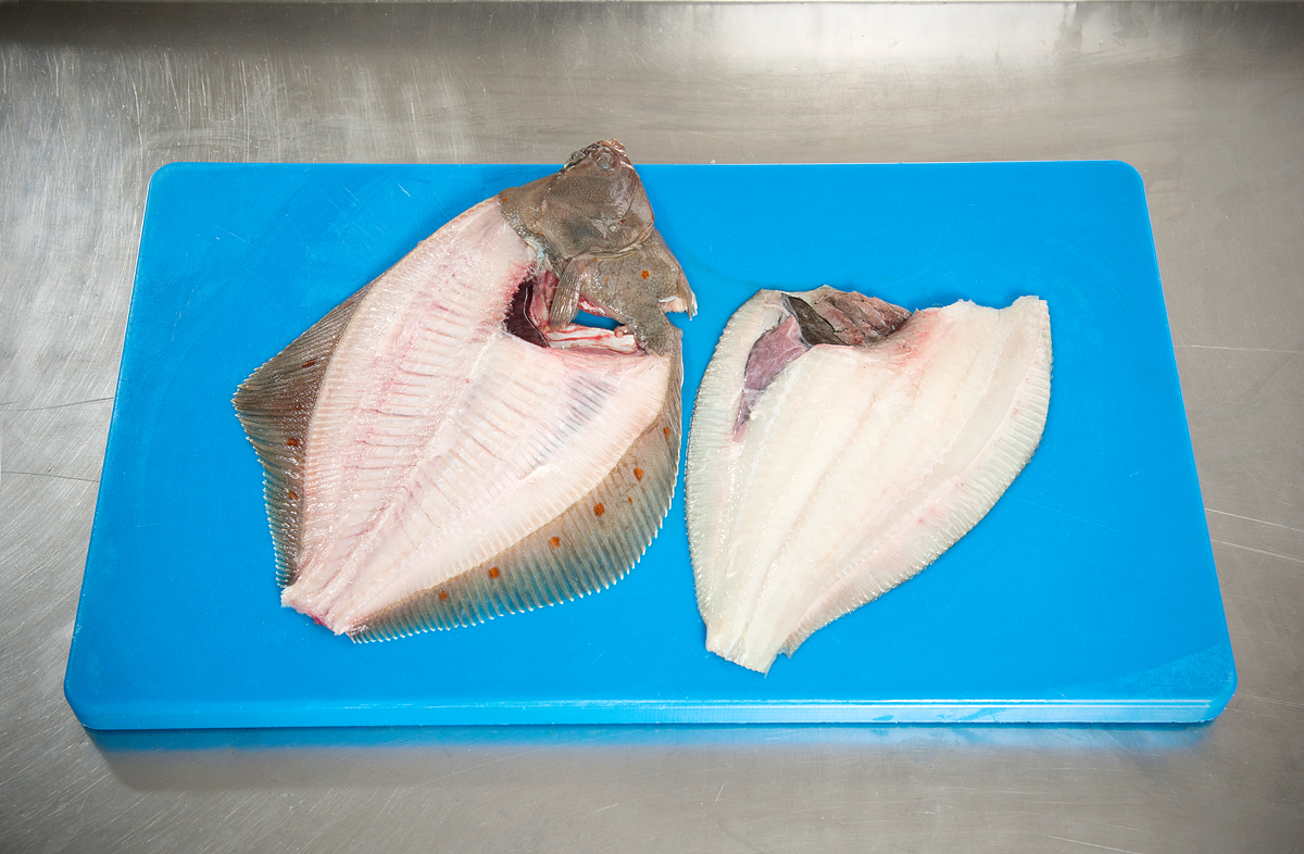 Zum Schluss führt man einen Rundschnitt hinter den Kiemen aus und trennt so das Filet von der Karkasse. Foto: BLINKER/W. Krause
