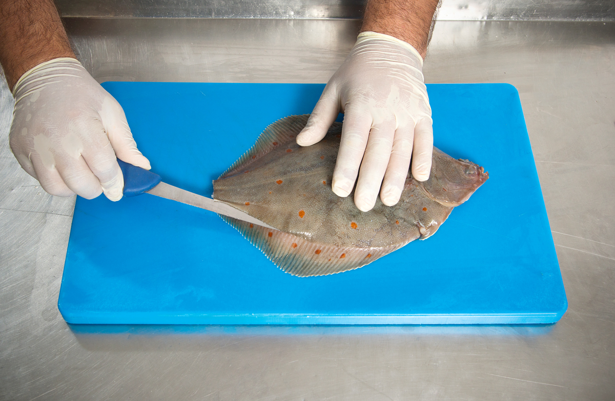 Man verkantet das Messer auf der Mittelgräte und trennt das Filet bis zum Flossenansatz heraus. Foto: BLINKER/W. Krause